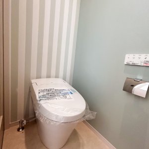 猫ステップのある家 猫ステップのある家