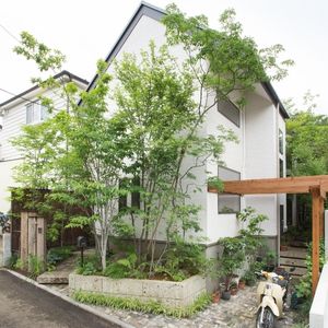 静かな森を感じる家 静かな森を感じる家